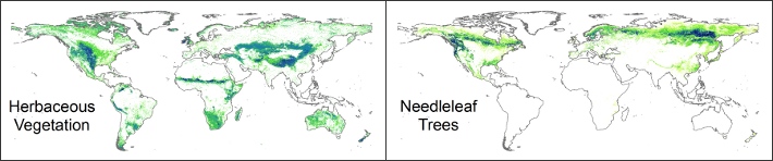 An image of the global land cover data.