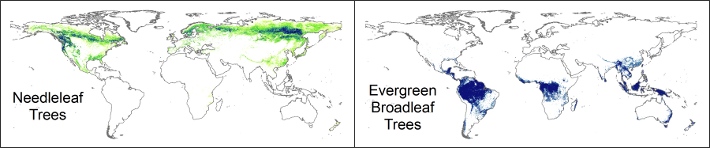 An image of the global land cover data.
