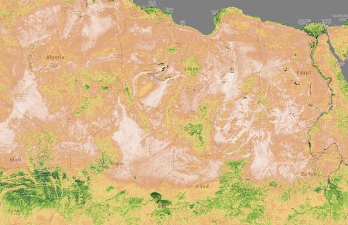 Habitat heterogeneity