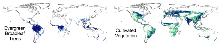 An image of the global land cover data.