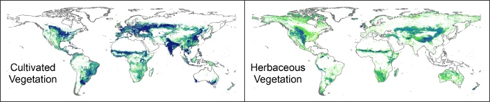 An image of the global land cover data.